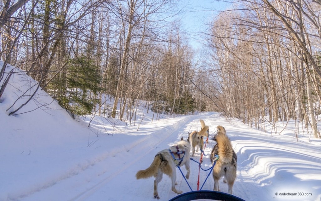 Haliburton Winter Getaway and Dream Dogsledding in Ontario