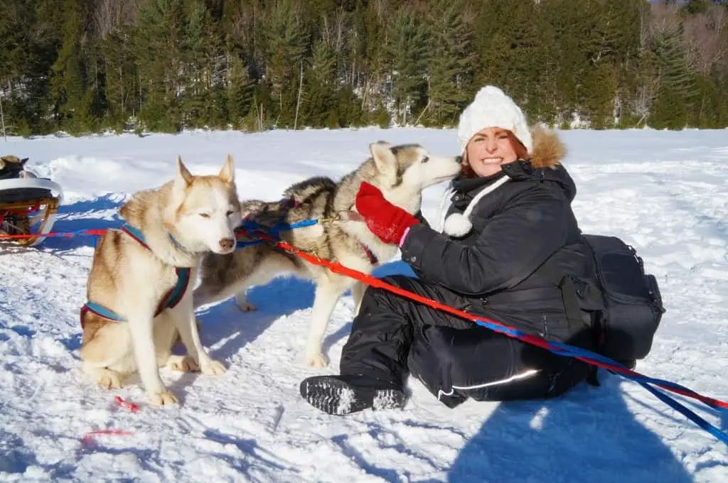 Winterdance-dog-sled-tour-giving and getting dog love