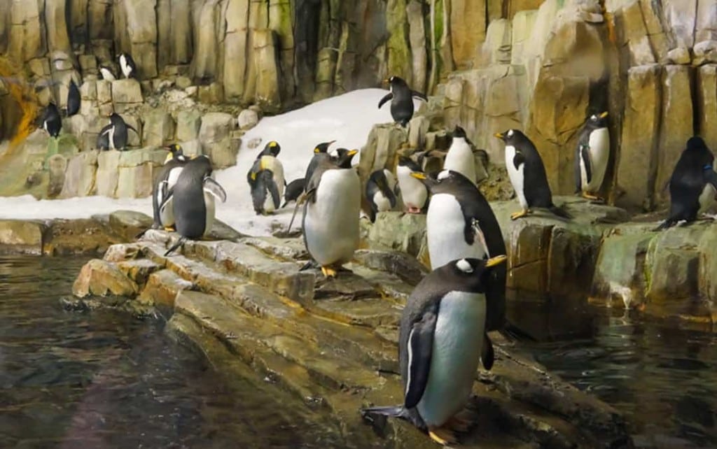 Escape to New Worlds in the Biodome Montreal