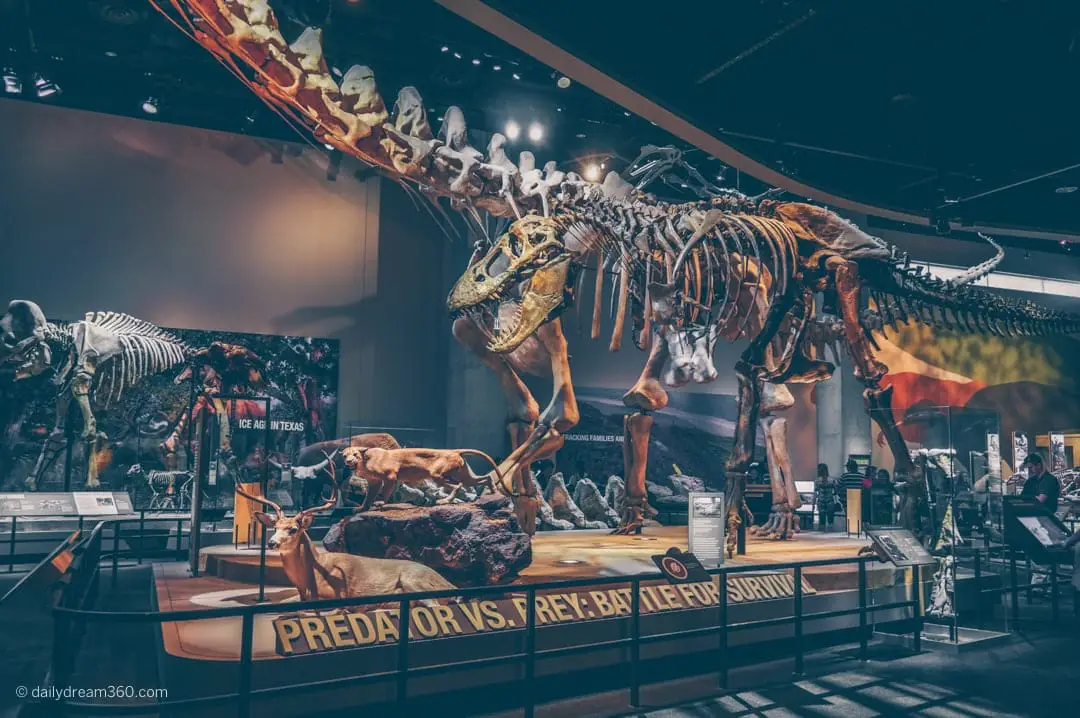 Prehistoric Exhibit at Perot Museum