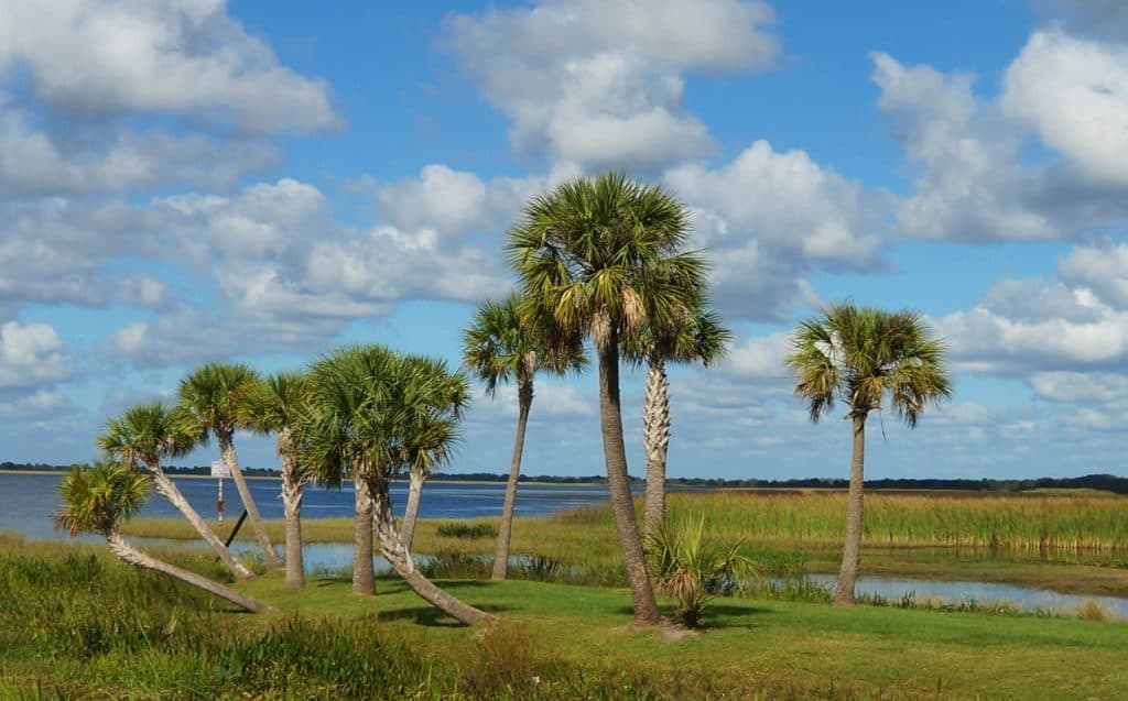 Wild-Florida-wildlife-park-airboat-ride-kissimmee-13