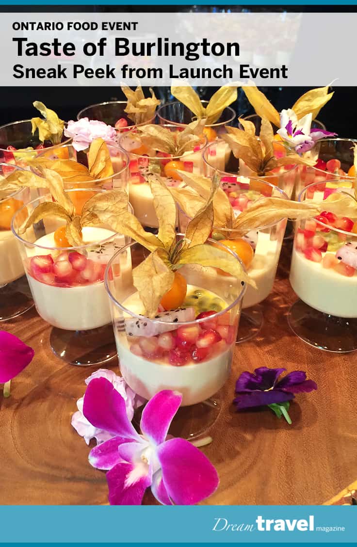 A Taste of Burlington 2016 Serves up Summer Fun
