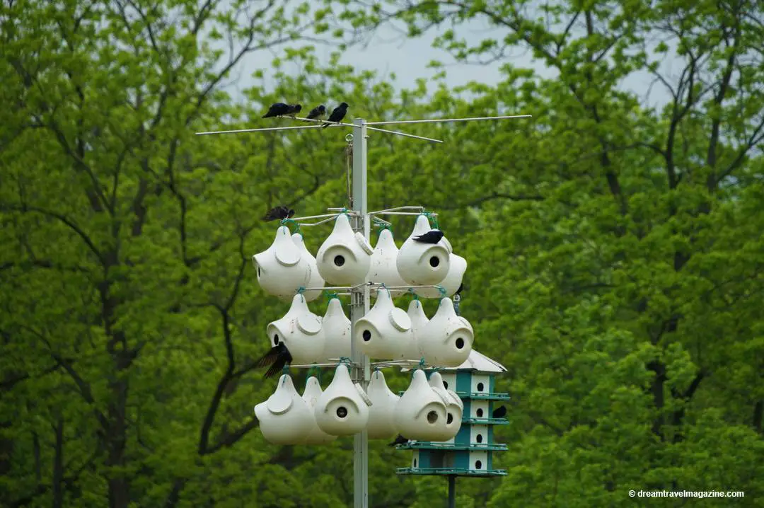 Bird Sanctuary Ruthven Park Haldimand County Ontario