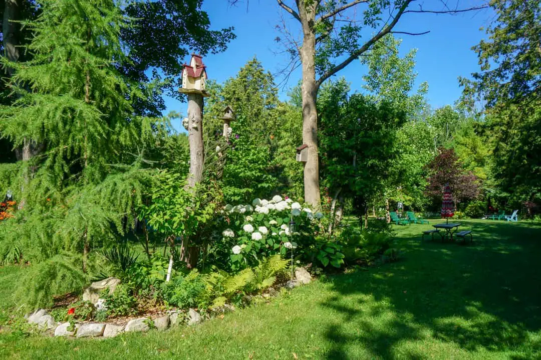 Backyard gardens at Pinedale Motor Inn Grand Bend Ontario
