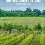 Winery vines and small house with text: Things to do in Norfolk County Ontario