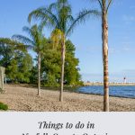 Palm trees on beach with text Kayaks in river with text: Things to do in Norfolk County Ontario