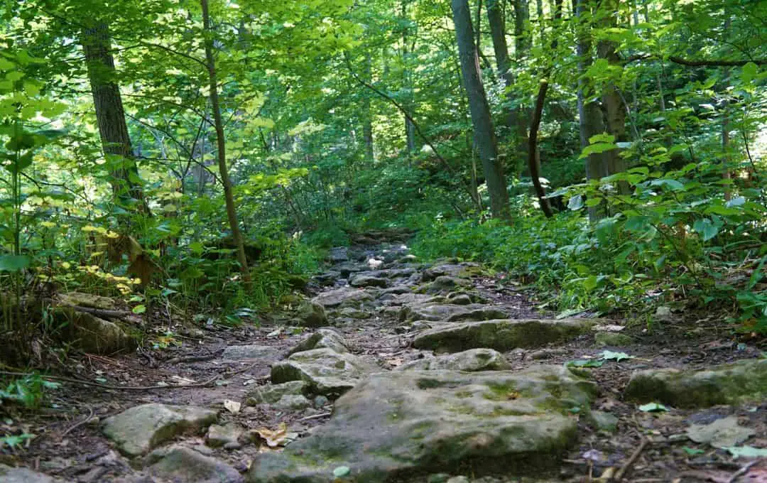 Rocky trail on niagara escarpment