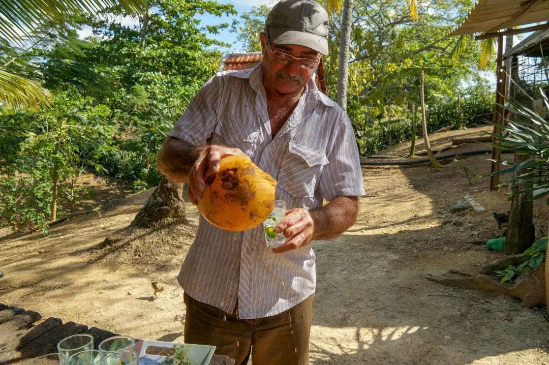 Farmer pours coconut water Holguin Excursion A Day in the Life of a Cuban Farmers House