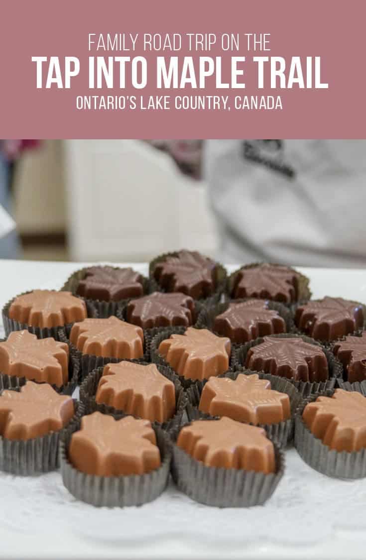 Follow the Tap Into Maple trail on a road trip through Ontario's Lake Country. Visit Ontario maple syrup producers, and businesses inspired by maple syrup season. | Maple Syrup | Ontario | Canada | Family Fun | Road trip |