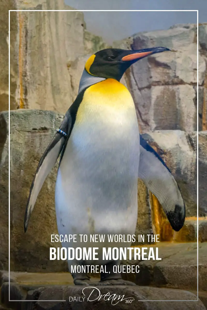 Escape to new worlds in Montreal's popular family attraction the Biodome. In this post, we share what you need to know and give you a sneak peek at what you will see inside. | #Montreal #attraction #animals #familyfriendly |