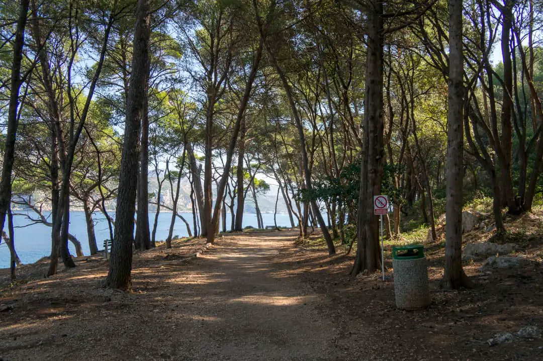 Nature hike on Lokrum Island Things To Do In Dubrovnik One Day Itinerary