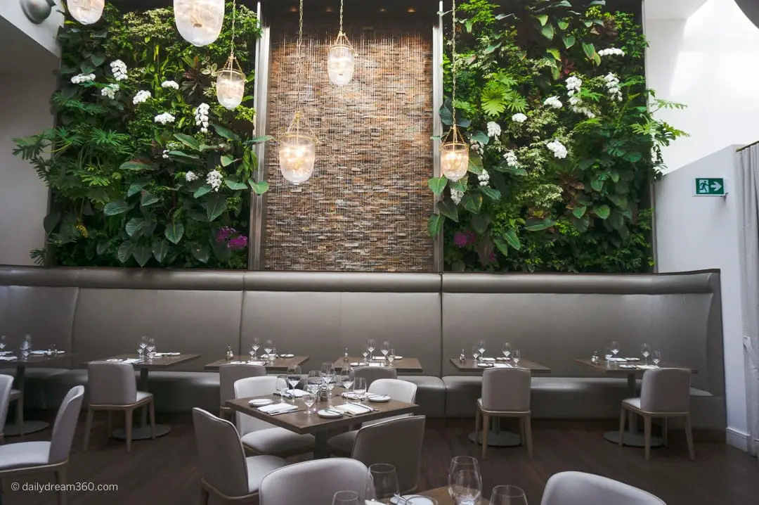 Green wall in Sassafraz Toronto restaurant