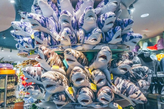 Les Prix de l'Aquarium Ripley de Toronto - Ripleys Aquarium Toronto 2019 226 636x423