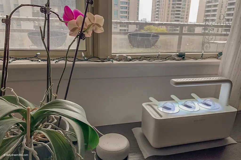 click and grow garden next to orchids in front of apartment window