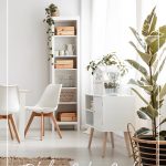 Plants inside apartment and text: Fabulous Indoor Garden Ideas For Small Spaces and Condos