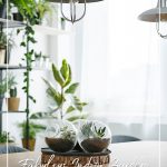 Plants inside apartment and text: Fabulous Indoor Garden Ideas For Small Spaces and Condos