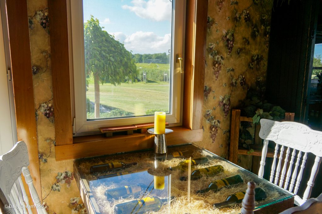 Wine tasting table with view out the window of Blueberry Hill Estate Winery in St. Williams Ontario