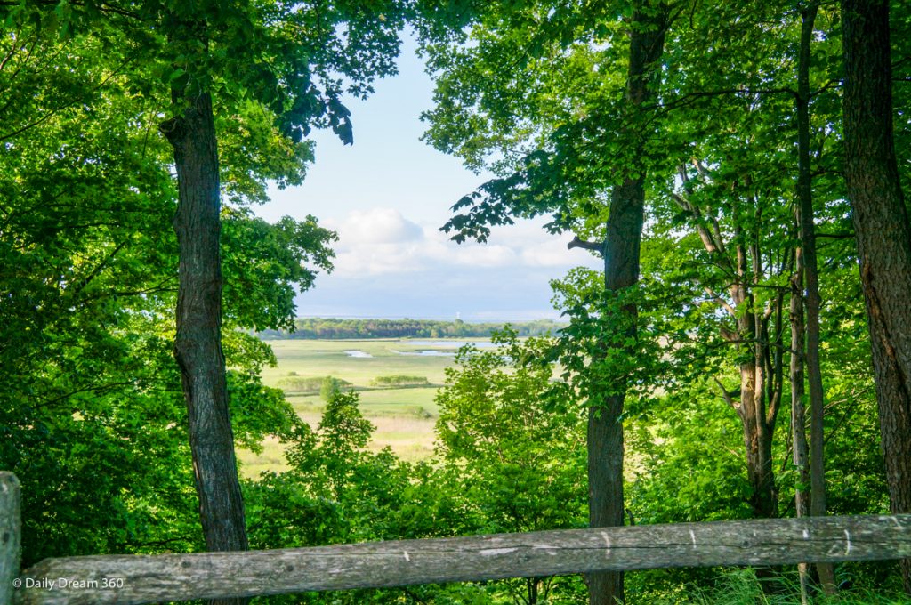 View of marsh on trail at Long Point Eco-Adventures Ontario