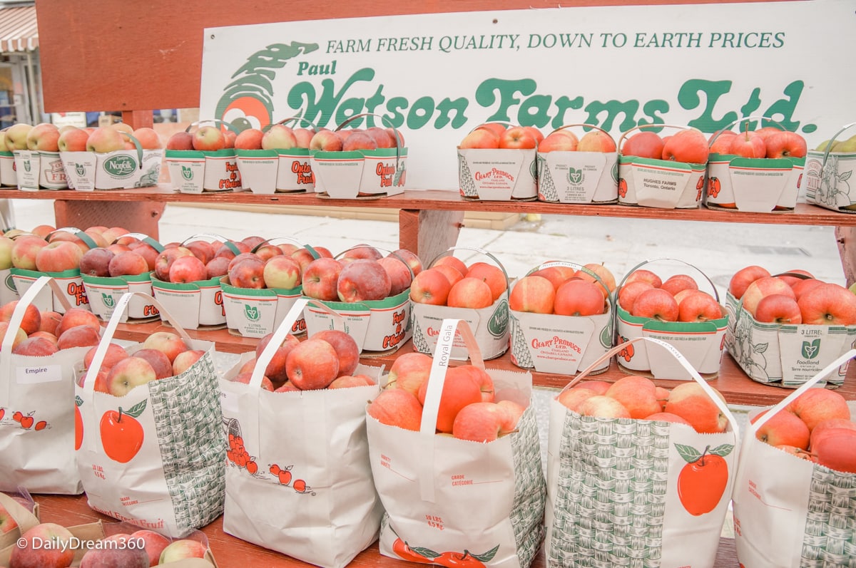 Apples on display at Bowmanville Apple Festival