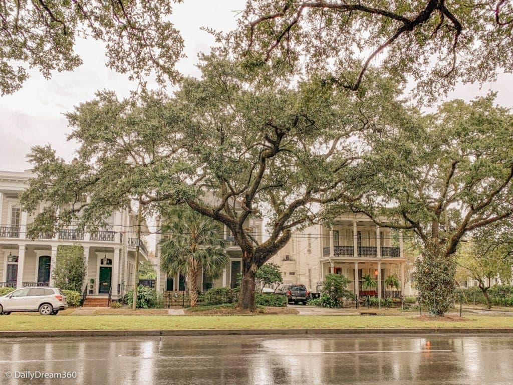 Garden District mansion with oak tree in front New Orleans