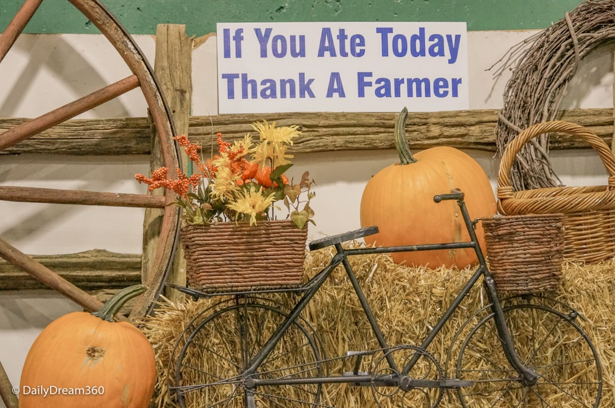 Display at Grand Valley Fall Fair