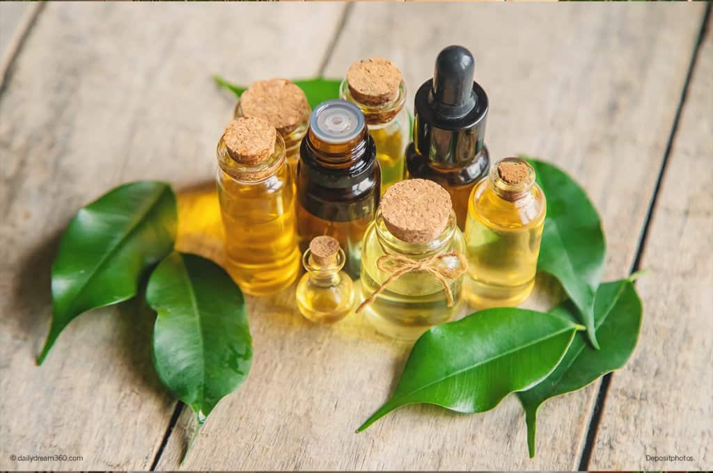 bottles of oils with leaves on wood background