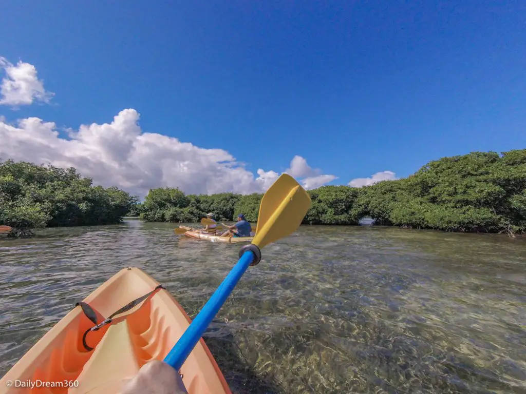Kayak and Snorkel Excursion Antigua