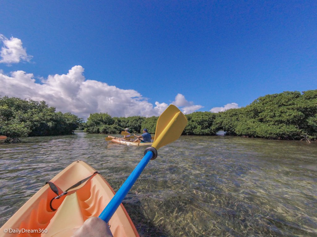 Dream Travel Guide: Best Things to Do with One Day in Antigua