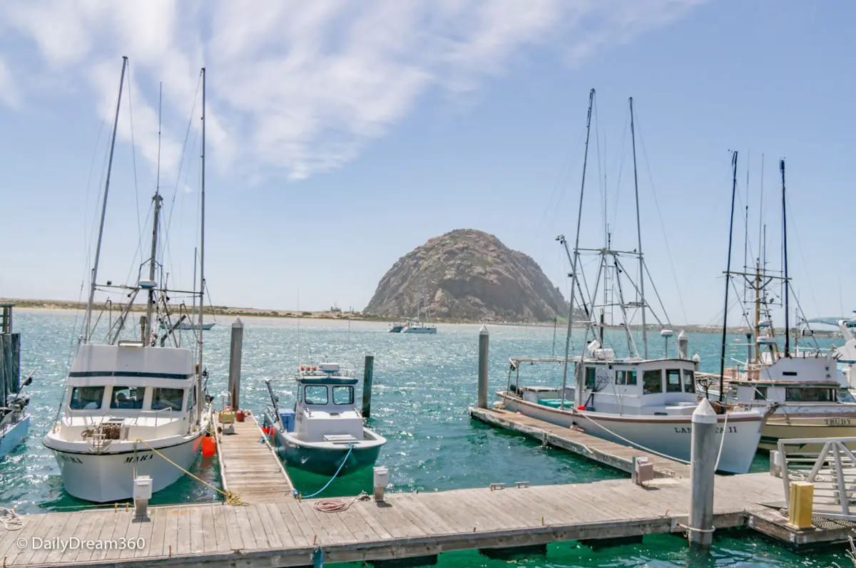 boats at docks in Morro Bay California