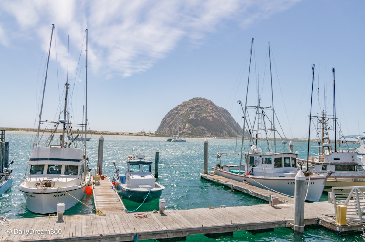 boats at docks in Morro Bay California