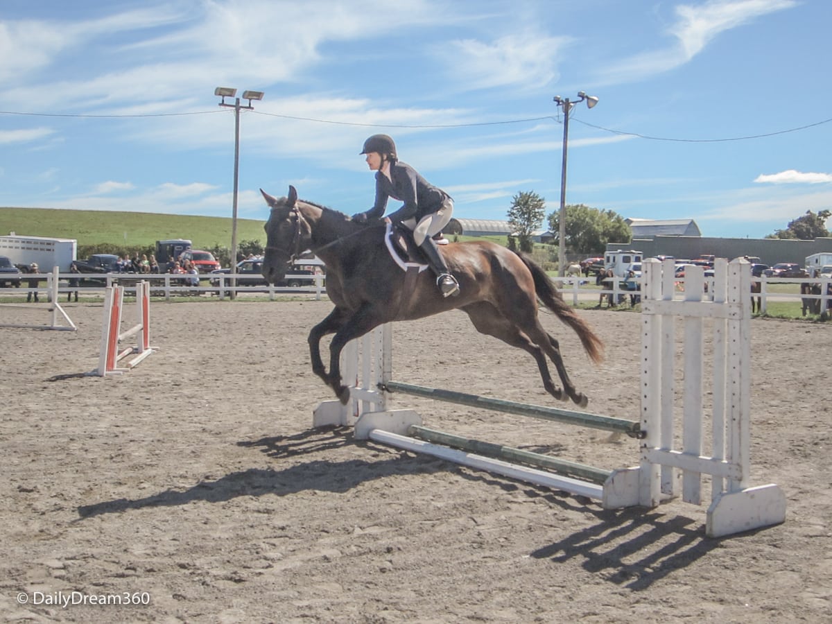 Horse jumping competition at Orno Fall Fair