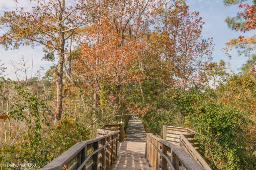 wooden trail at Pascagoula River Audubon Center Moss Point Mississippi