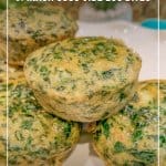 Low Carb Dairy Free Sous Vide Spinach Egg Bites