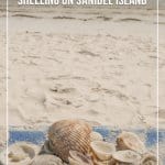 Shells on beach lounger overlooking beach in Sanibel Florida