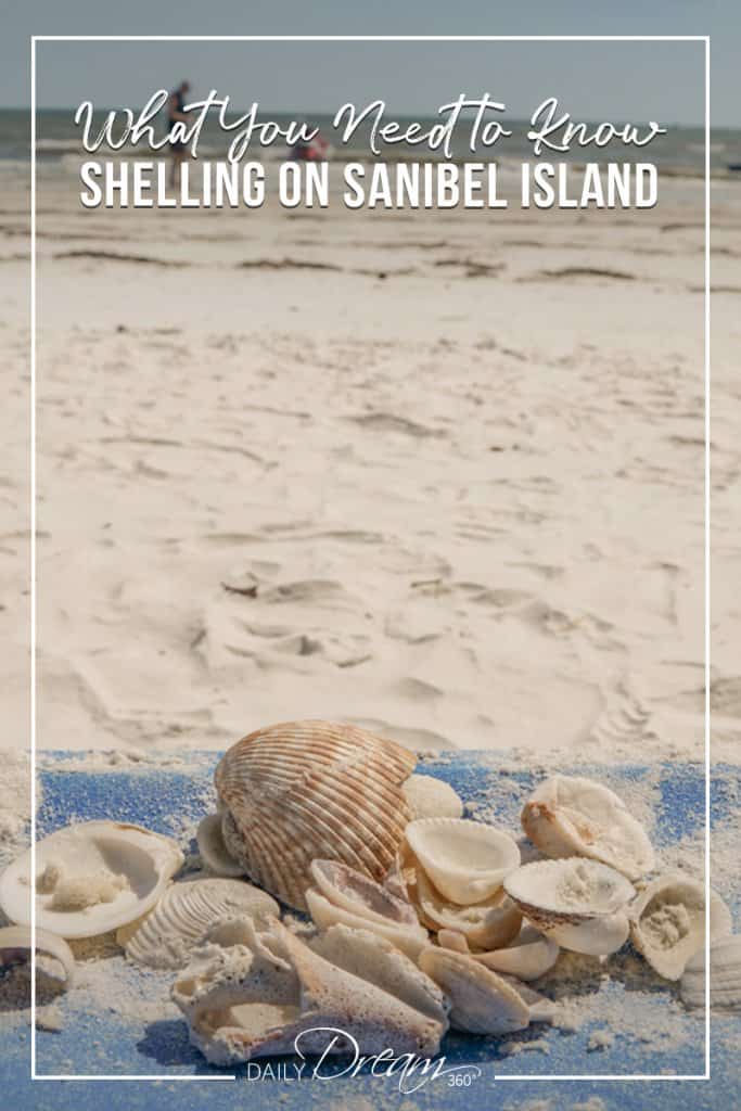 Shells on beach lounger overlooking beach in Sanibel Florida