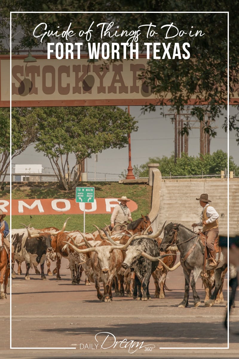 Cattle drive in Fort Worth Stockyards