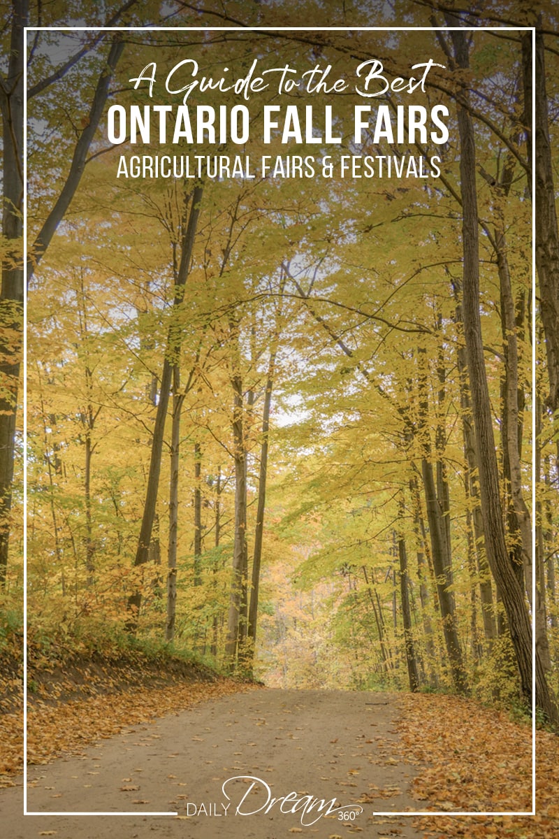 Fall foliage surrounds back country road in Ontario