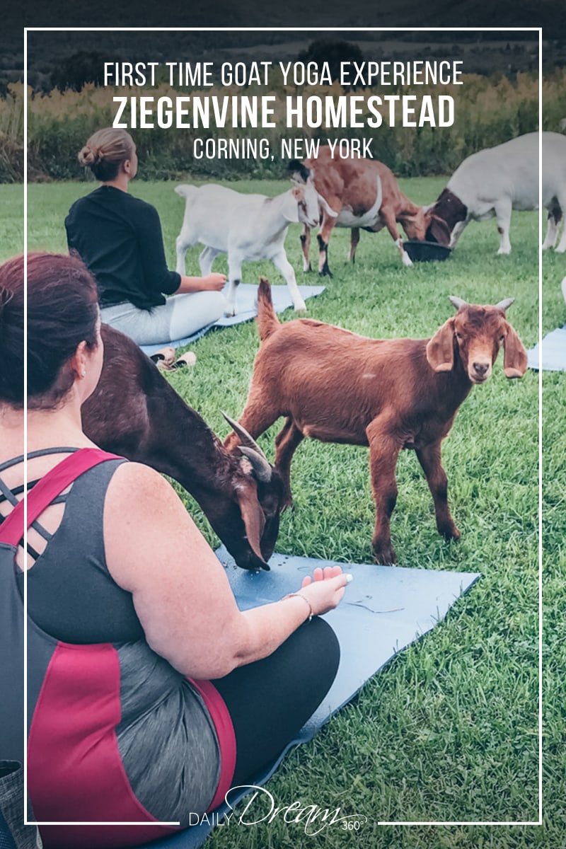 Sharon Mendelaoui sitting on matt as goats look on in Yoga Class