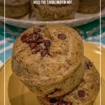 Hold the Carbs Low Carb Sugar Free Chocolate Chip Muffins