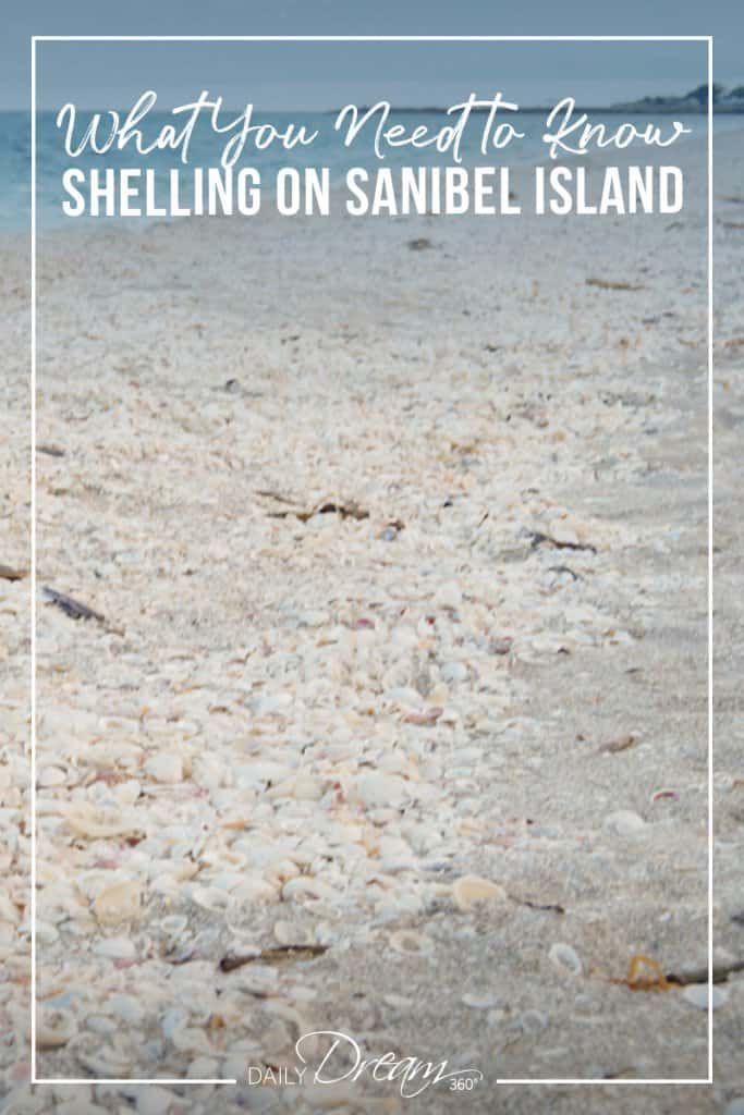 Beach filled with small shells on Sanibel Island Florida