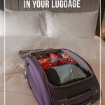 Travelon bag open on hotel bed with packing cubes inside