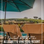 Chairs an umbrella at Allegretto Vineyard Resort Paso Robles CA
