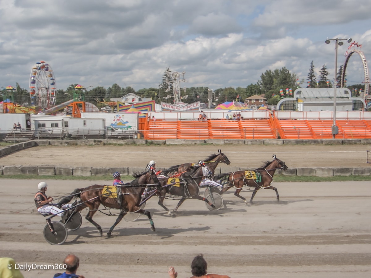 Harness Racing at Port Perry Fall Fair