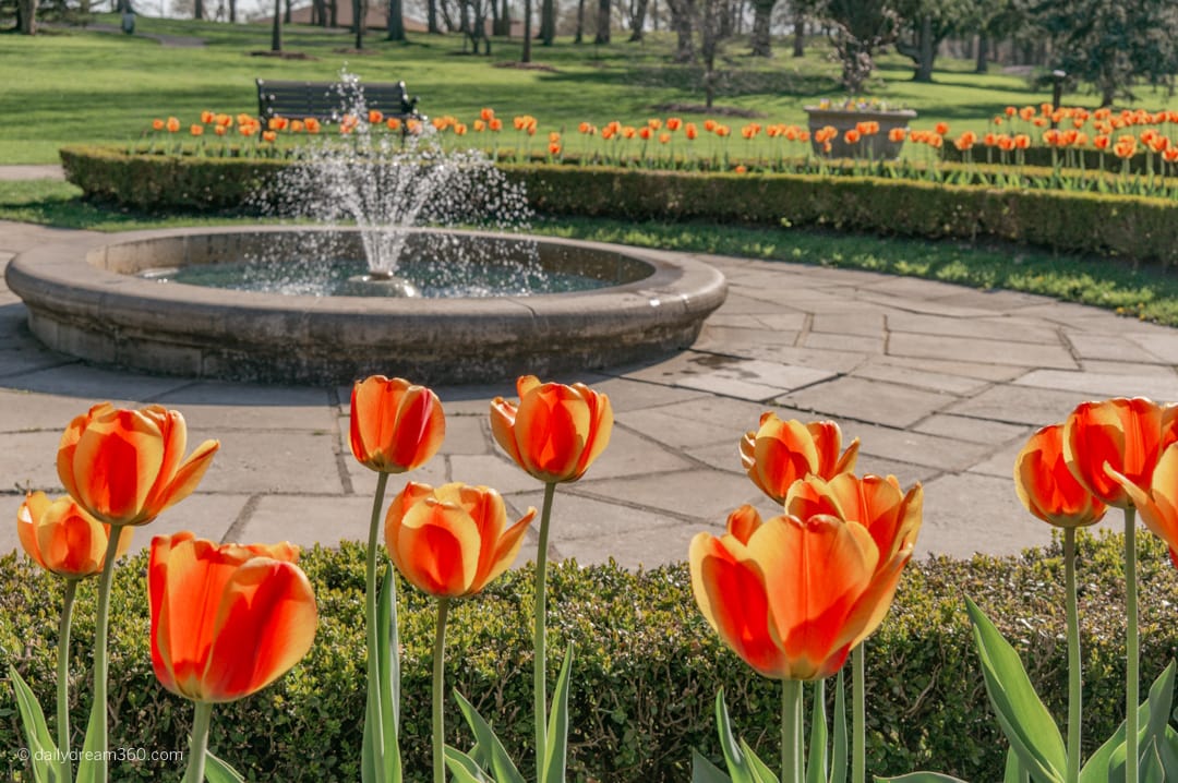 park in front of the Queenston Heights Restaurant Niagara Falls ON