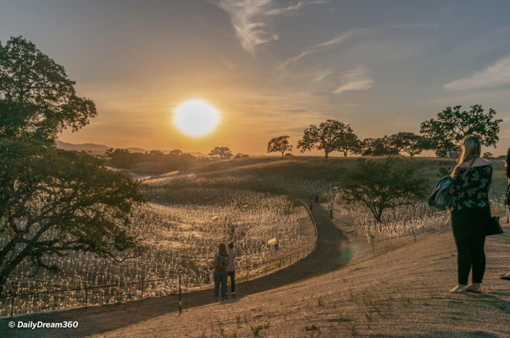 Sensorio Field of Lights Paso Robles 