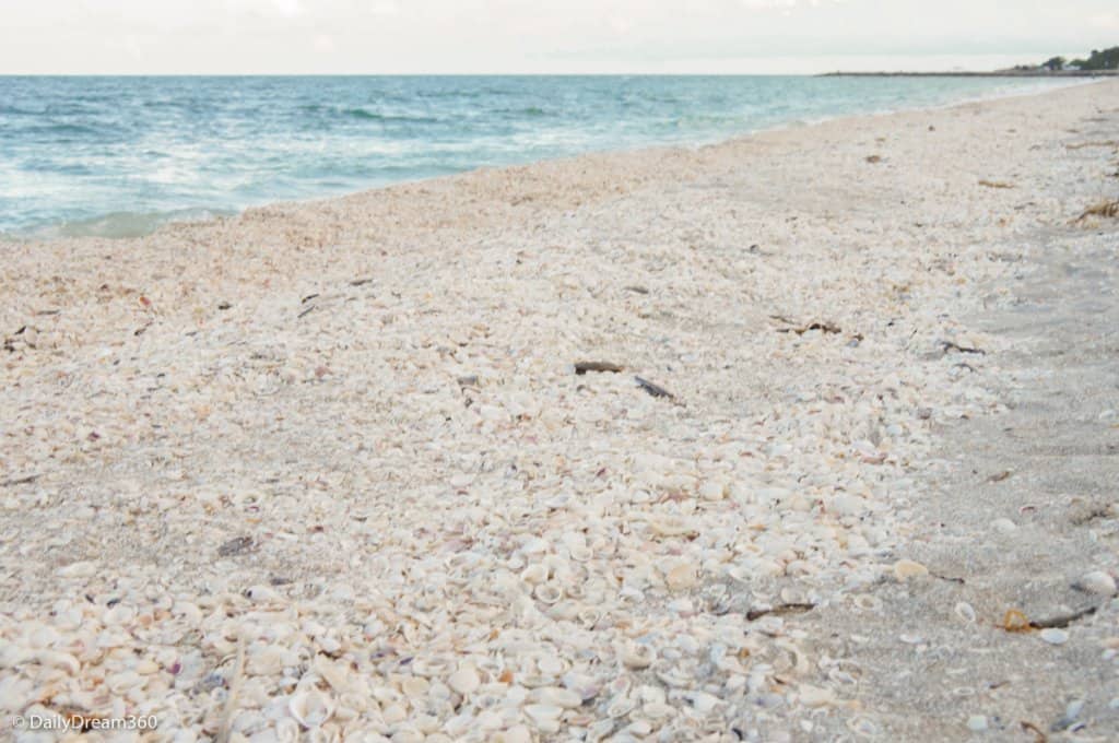 beach across street from Sunset Grill Sanibel