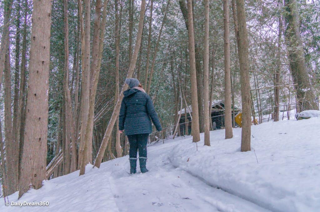 walking in snow covered forest at Hive Centre Orno
