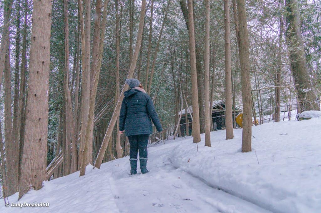 walking in snow covered forest at Hive Centre Orno