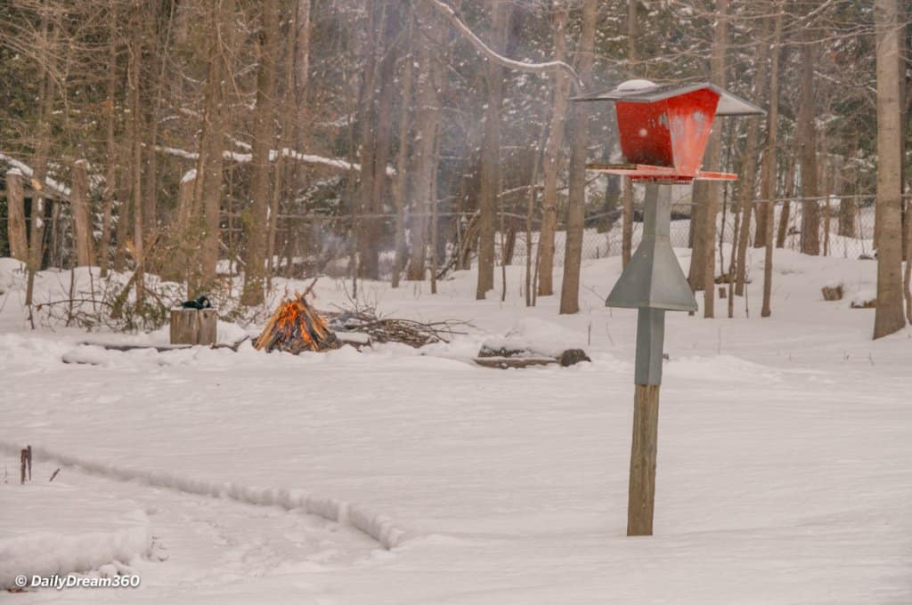 Campfire in background and bird feeder at the Hive Centre Orno Ontario