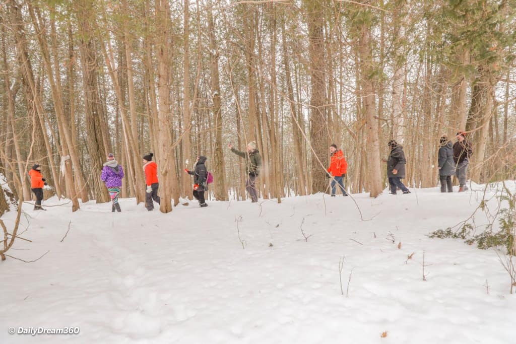 forest bathing at the Hive Centre Leskard